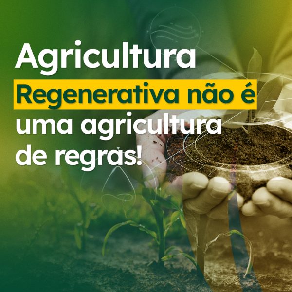 agencia de marketing em birigui